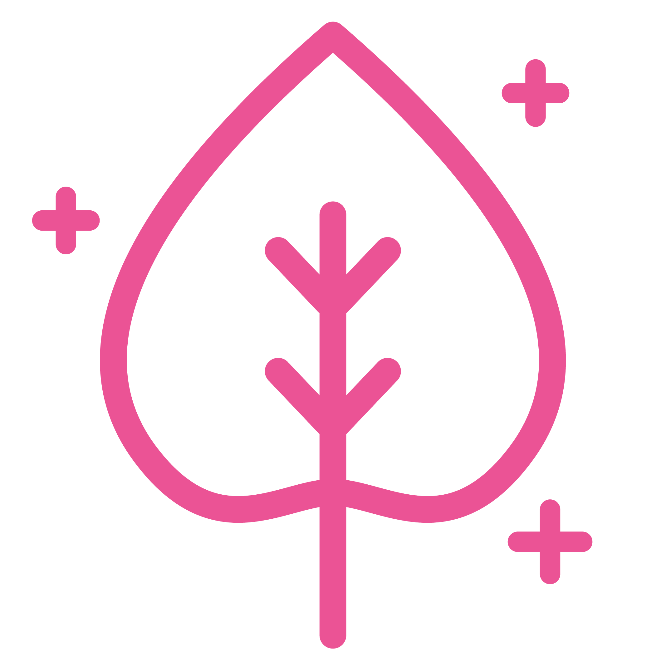 Accompagnement véhiculé